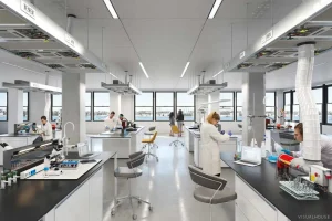 Immunoassay-Based Kits