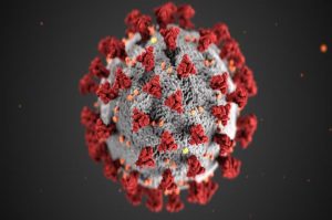 “Microscopic view of pathogens related to sexually transmitted infections (STIs), rapidly and accurately identified with the RealCycler kit.”