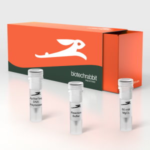 Hot-start PCR reagent mix