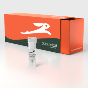 Standard PCR reagent mix