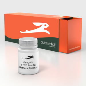Direct PCR Master Mix