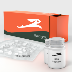 Key Components That Define PCR reaction mix Quality