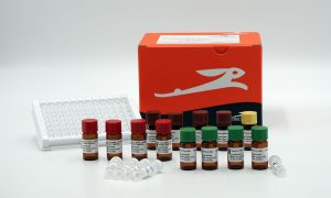 How to Choose the Right PCR reaction mix