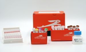 Quality Control and PCR reaction mix