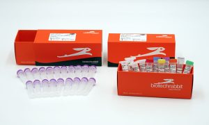 Types of PCR reagent mix