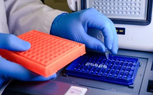 PCR Master Mix: Types and Applications