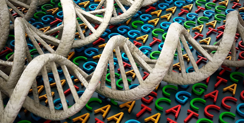 توالی های زنتیکی DNA
