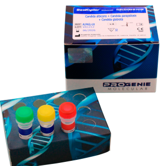 Aspergillus fumigatus