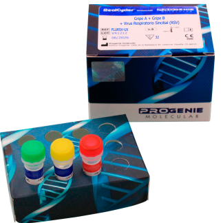 Epstein - Barr Virus (EBV)