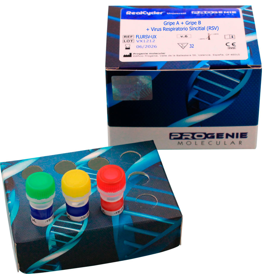 Epstein - Barr Virus (EBV)