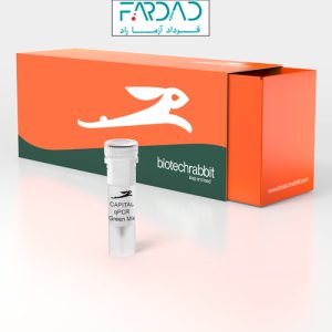 CAPITAL SYBR Green Mix ازbiotechrabbit
