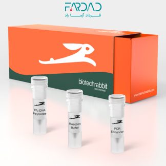 مستر میکس پی اف یو (PCR Pfu 2X Master Mix)