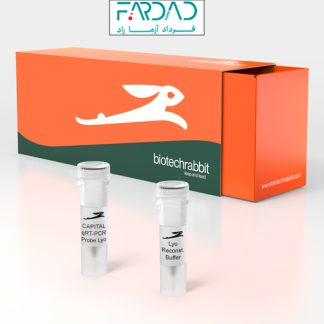 مستر میکس پروب (4X CAPITAL™ qRT-PCR Probe Master Mix)