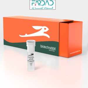 CAPITAL Probe Mix از biotechrabbit