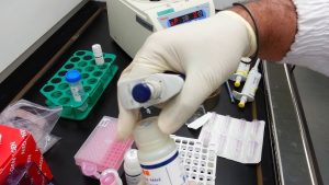 استخراج DNA RNA چیست؟