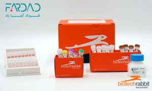 انتخاب مستر میکس مناسب برای آزمایشهای PCR و qPCR از محصولات biotechrabbit