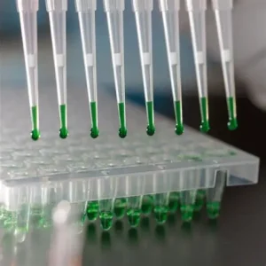 مقایسه روش‌های آشکارسازی SYBR Green و Probe در qPCR