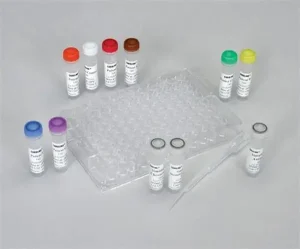 فرمت‌های 2X، 4X و Direct Load در مستر میکس PCR